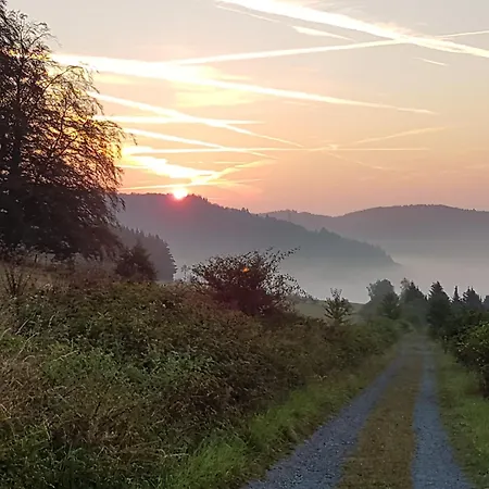 Ferienhaus Menzel Willingen (Upland)